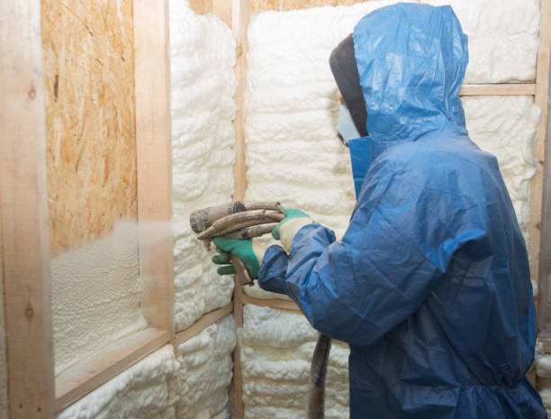 Best Commercial Insulation Services  in Questa, NM